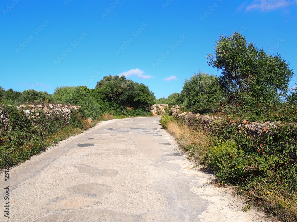 a typical narrow country road in menorca surrounded by old dry stone walls with surrounding fields and trees with a bright blue sunlit summer sky