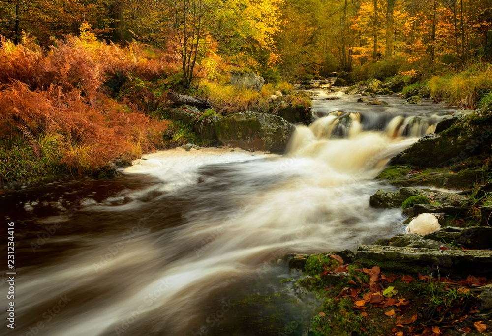 The beautiful river La Hoëgne in the High Fens, Ardennes Belgium.
The autumn colors were really amazing.
Photo taken with a longer exposure and a polarizer for more intense colors. The beautiful river La Hoëgne in the High Fens, Ardennes Belgium.
The autumn colors were really amazing.
Photo taken with a longer exposure and a polarizer for more intense colors.