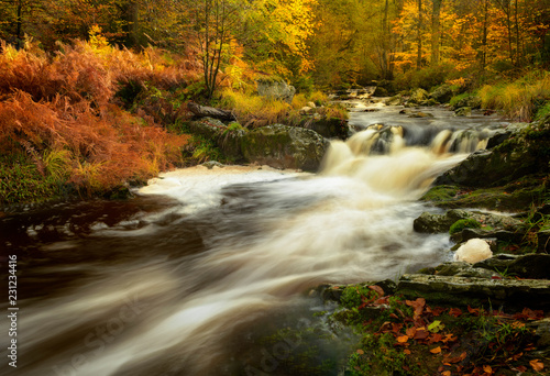 The beautiful river La Hoëgne in the High Fens, Ardennes Belgium.
The autumn colors were really amazing.
Photo taken with a longer exposure and a polarizer  for more intense colors.