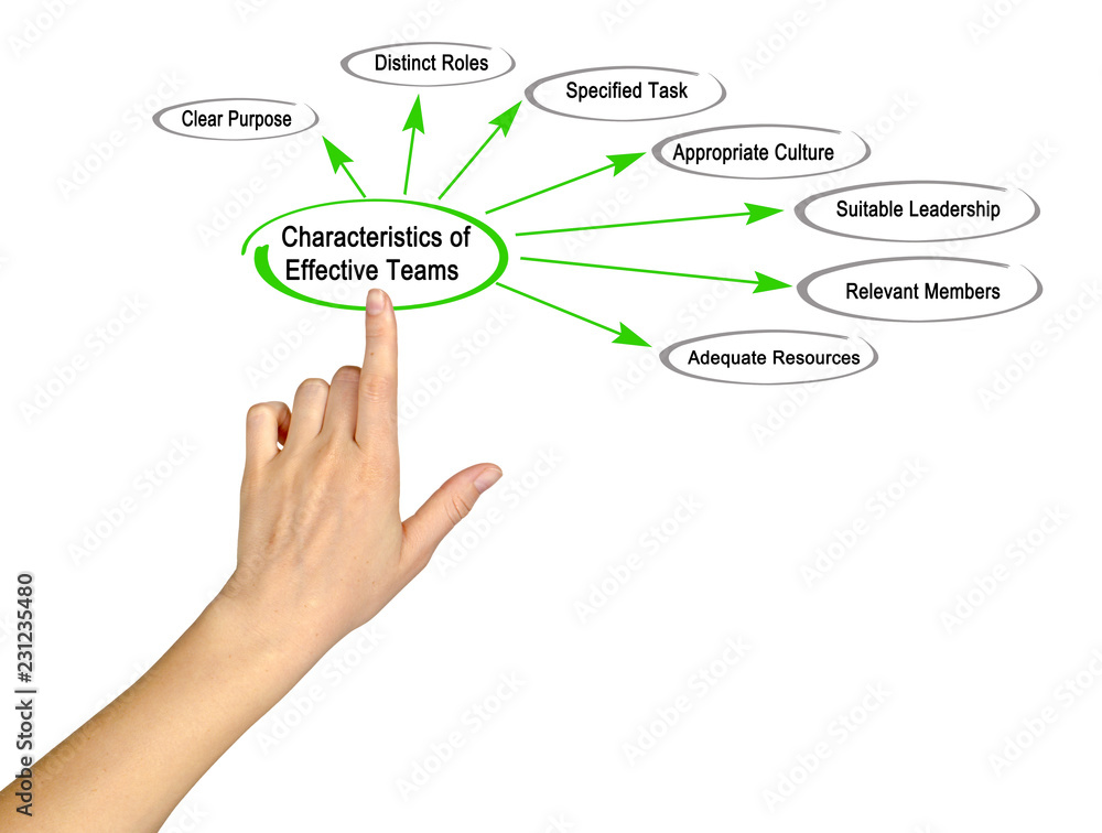 Characteristics of Effective Teams Characteristics of Effective Teams