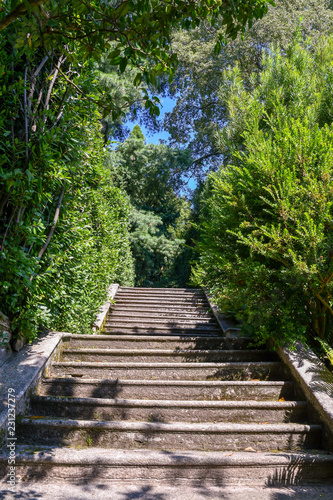 Vista dal basso di un antica scalinata in pietra in un parco con alberi verdi in estate  Isola Madre  Lago Maggiore  Italia