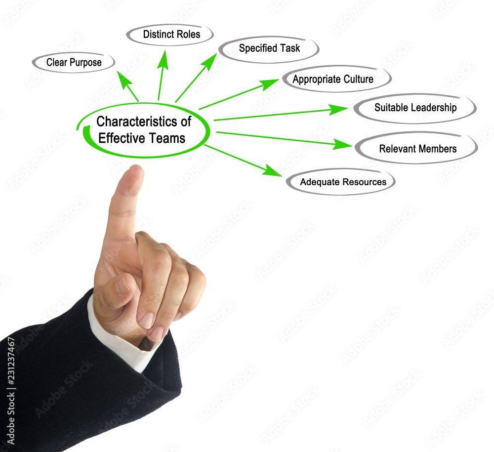 Characteristics of Effective Teams Characteristics of Effective Teams