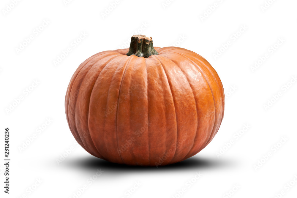 Obraz premium A side view of a ripe orange pumpkin isolated on a white background.