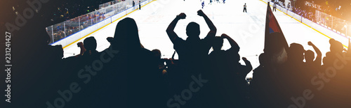 fans on the hockey match