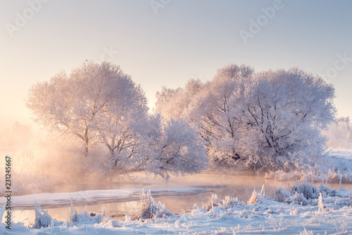 Winter morning landscape © alexugalek