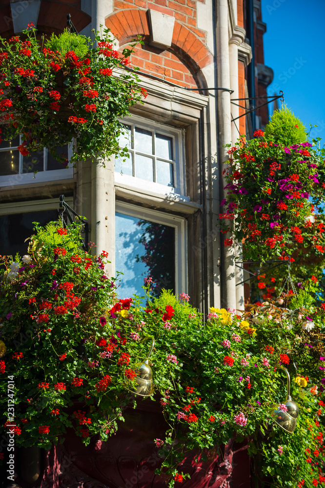 Traditional brick architecture bordered by lush green window boxes blooming with colorful flowers
