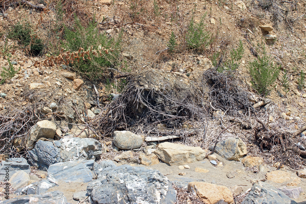 Eroded beach cliff vegetation and boulders horizontal Eroded beach cliff vegetation and boulders horizontal