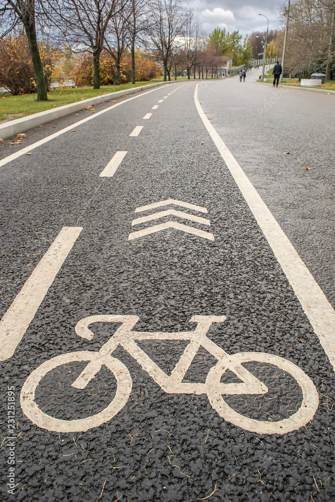 Obraz premium street sign Bicycle painted on a dedicated track path for sports and Cycling in city parks