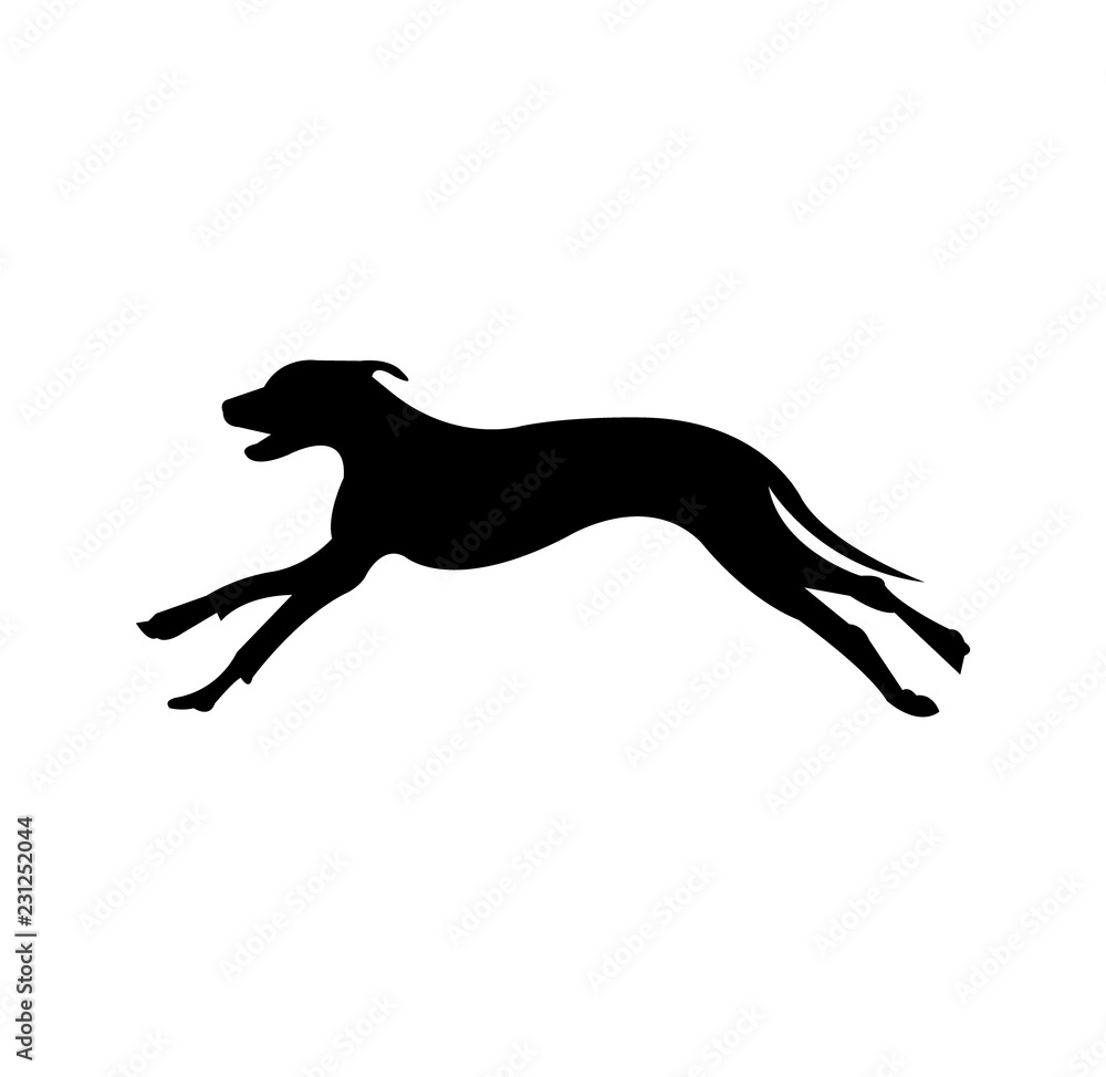 Dog running black silhouette, isolated on white background