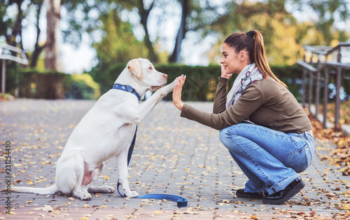 Young woman with a dog in the park. Pets and animals concept photo