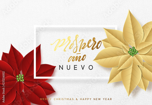 Merry Christmas, background decorated with beautiful red buds poinsettia flowers. Spanish text Prospero ano Nuevo