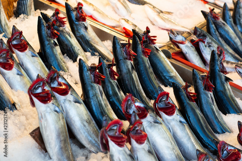 Palamut - Fresh bonito fish in the market
