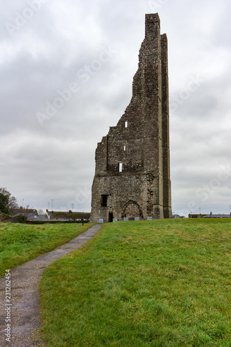 A curved path leads through a field to the ruins of Saint Mary's Abbey in Trim, Ireland
