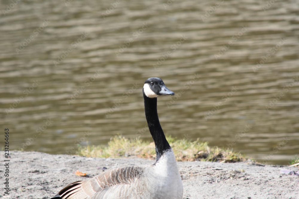 Obraz premium travel shots 