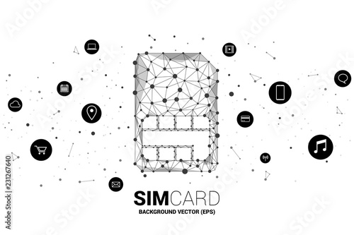 Vector Polygon dot connect line shaped sim card icon with functional icon. Concept for function of mobile sim card technology  and network.