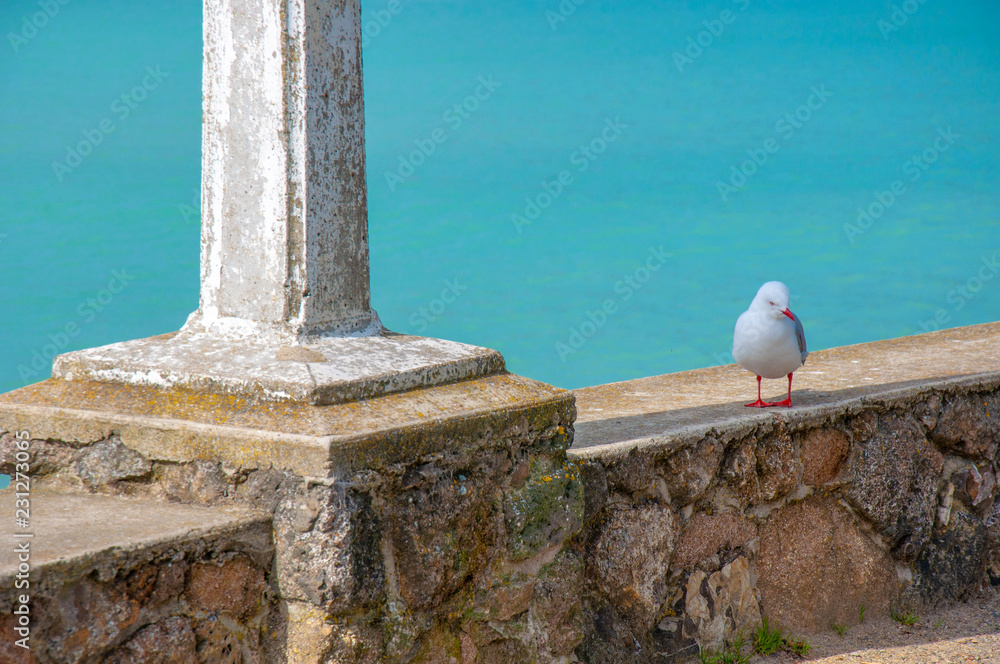 Fototapeta premium Oamaru Harbour