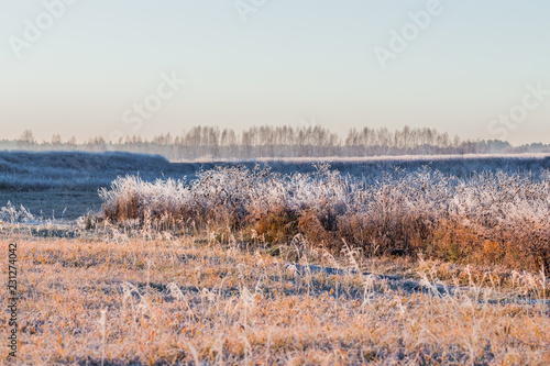 Autumn landscape with frost