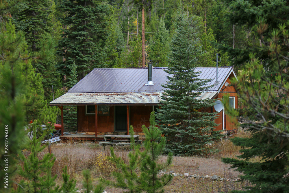 Cabin in the woods Cabin in the woods