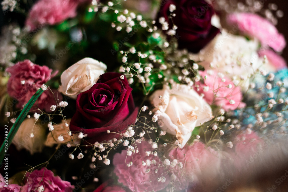 beautiful flowers in wonderful day beautiful flowers in wonderful day
