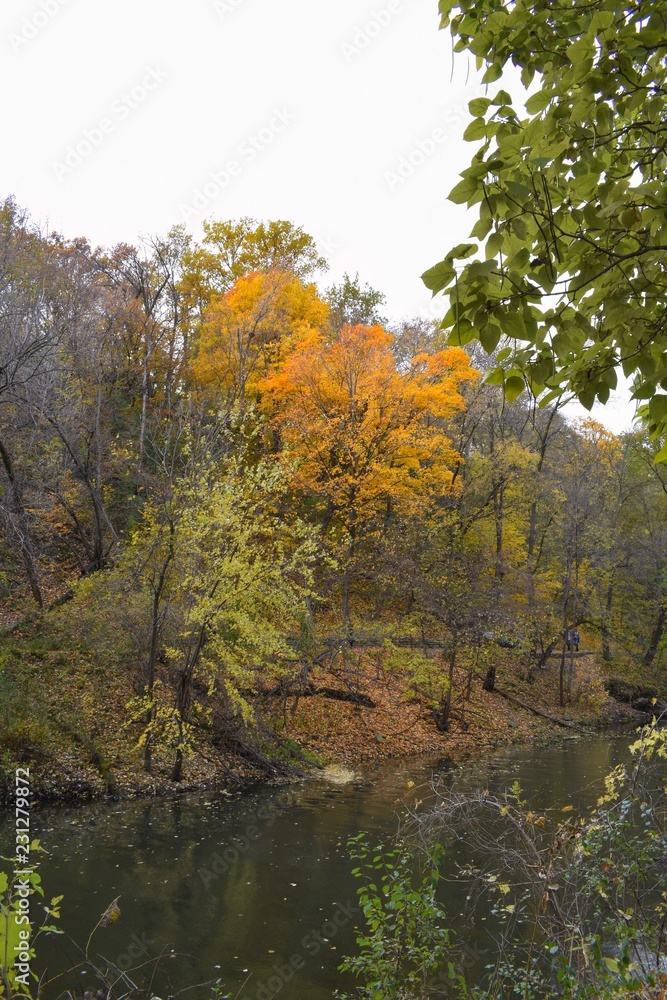 River through the autumn trees