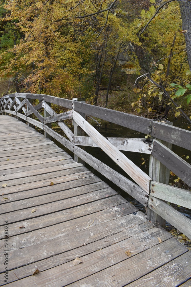 Obraz premium Bridge in the park with autumn trees