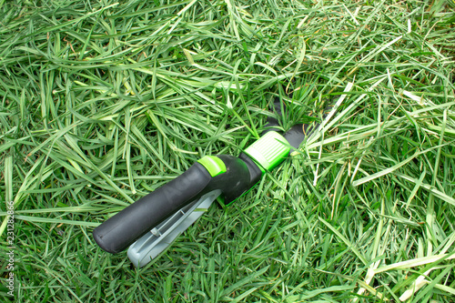 Cut grass with grass scissors. Gardening.