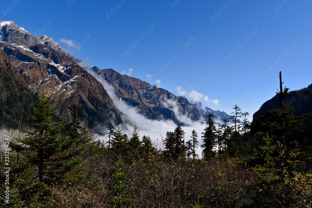 Clouds lying on the hill at the beginning of No. 1 Glacier in Hailuogou, Sichuan, China. Clouds lying on the hill at the beginning of No. 1 Glacier in Hailuogou, Sichuan, China.