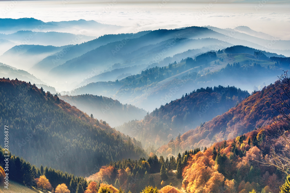 Fototapeta Malowniczy górski krajobraz. Widok na Schwarzwald, Niemcy, pokryty mgłą. Kolorowe tło podróży.