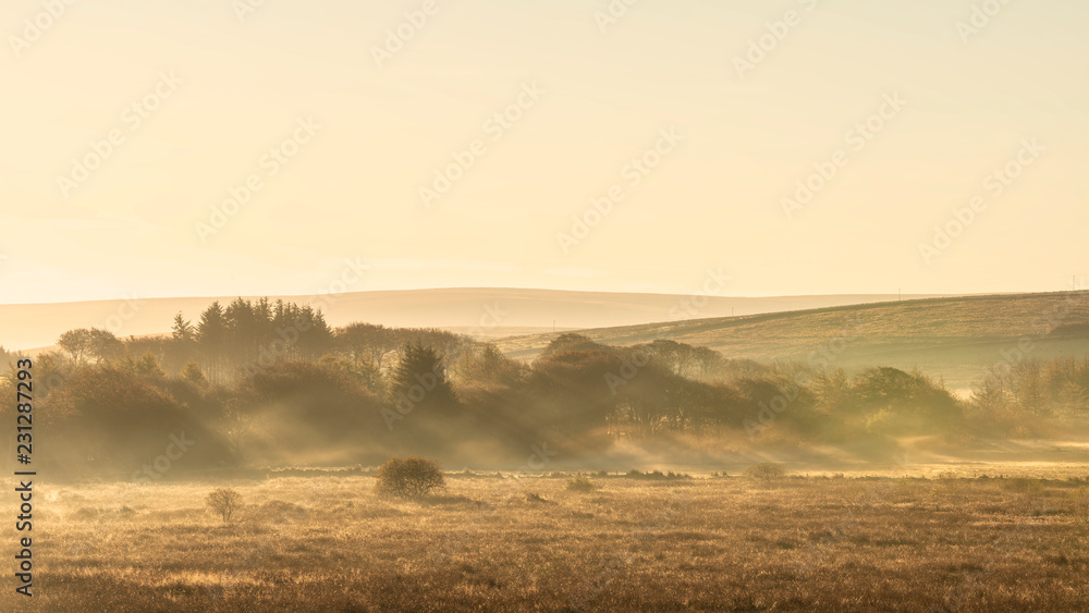 Stunning Autumnal sunrise orange glow through misty conditions in the landscape of Dartmoor Stunning Autumnal sunrise orange glow through misty conditions in the landscape of Dartmoor