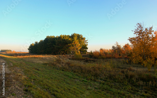 Golden autumn in central Russia. Picturesque trees lit by sunshine - sunny landscape in bright sunlight. Scene with colorful trees in sunny evening