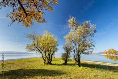 Herbststimmung in Niederzell auf der Insel Reichenau