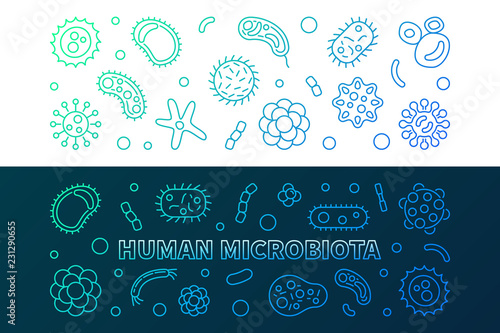 Human microbiota colorful banners. Vector linear illustration