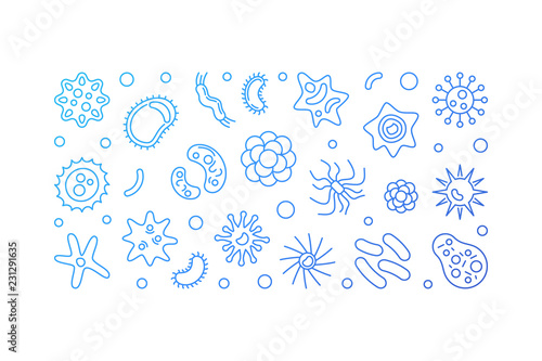 Bacteria vector blue horizontal banner. Virology illustration 