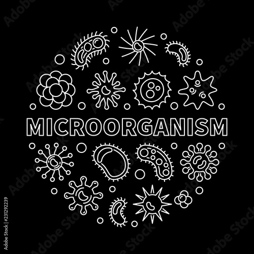 Microorganism vector round microbiology outline illustration