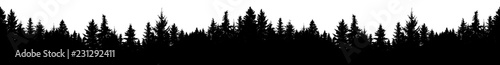 Seamless silhouette of coniferous forest, vector. Panorama evergreen Christmas Tree, spruce, fir. Isolated vector on white background