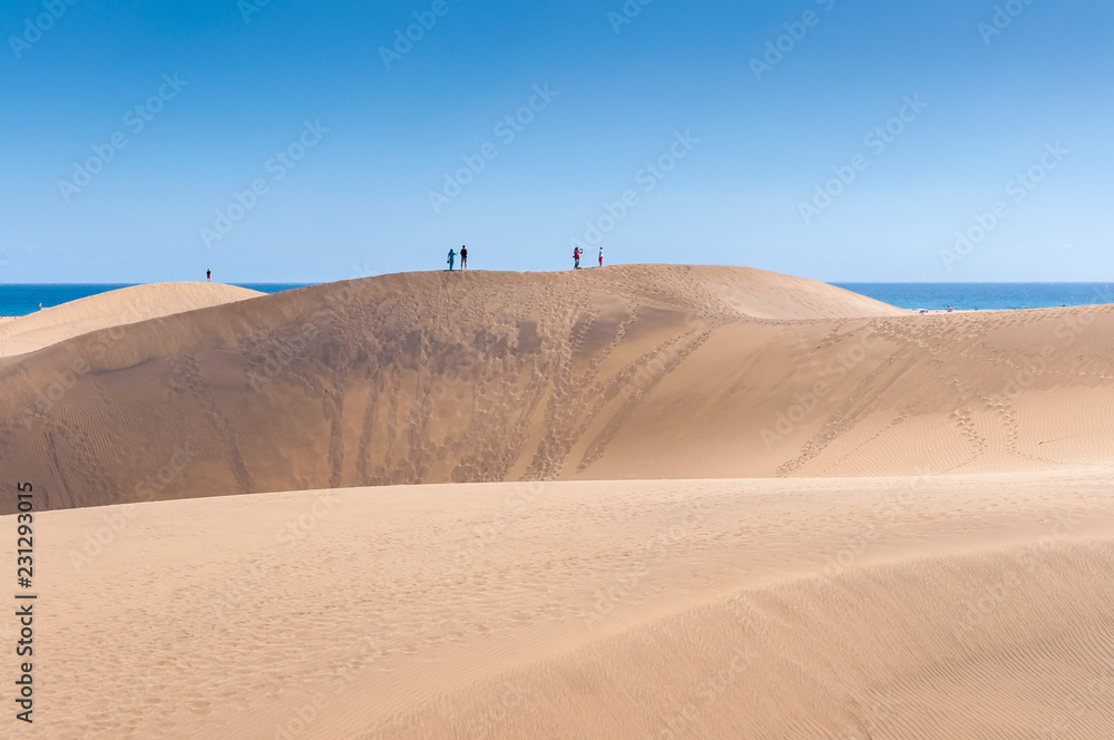 Coastal dunes in Maspalomas beach, in Maspalomas, Gran Canaria Island, Canary Islands, Spain, on February 19, 2017 Coastal dunes in Maspalomas beach, in Maspalomas, Gran Canaria Island, Canary Islands, Spain, on February 19, 2017