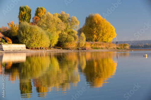Herbstnachmittag am Bodensee in Allensbach