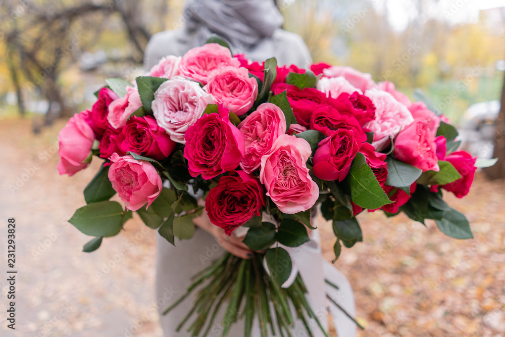 Big luxury bright bouquet in the hands of a cute girl. One hundred garden roses, varieties of David Austin. Three kinds of bright pink, scarlet and pastel colors. Autumn leaves in the Park.