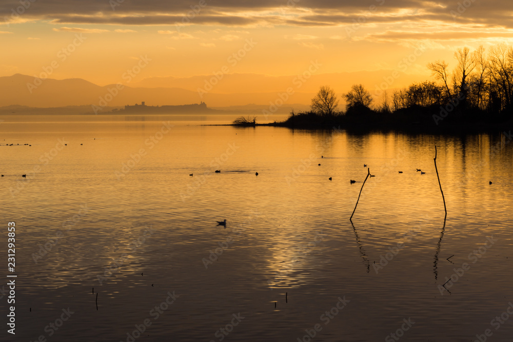Beautiful view of Trasimeno lake at sunset with birds on water and Castiglione del Lago town in the background