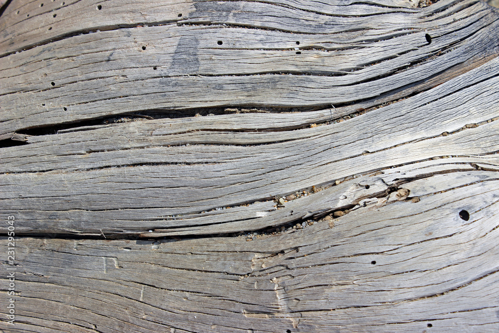 Old grey cracked wood surface texture horizontal Old grey cracked wood surface texture horizontal