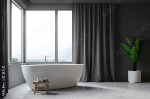 Gray bathroom interior, tub © ImageFlow