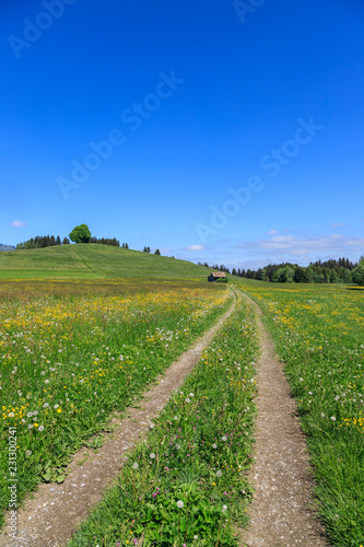 Feldweg bei Schweineberg