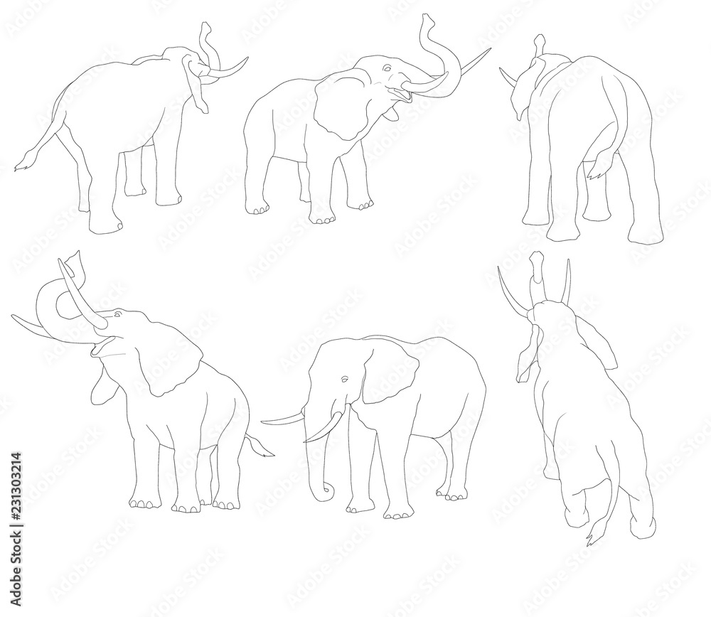  éléphant, tracé, mouvement,  illustration, dessin animé, silhouette, mammifère, sauvage, vecteur, blanc, isolé, 