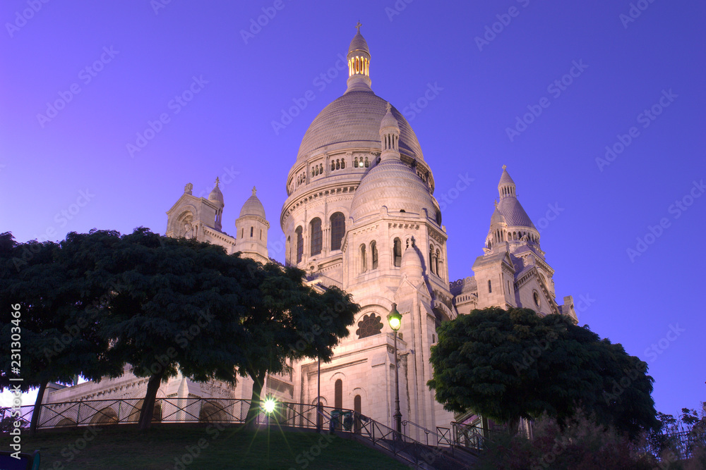 The basilica of Sacré-Cœur, Paris