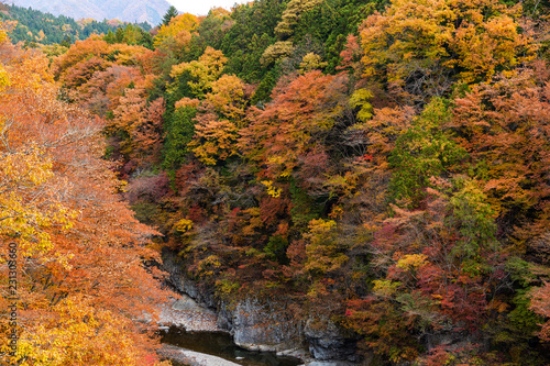 Kinugawa in autumn season