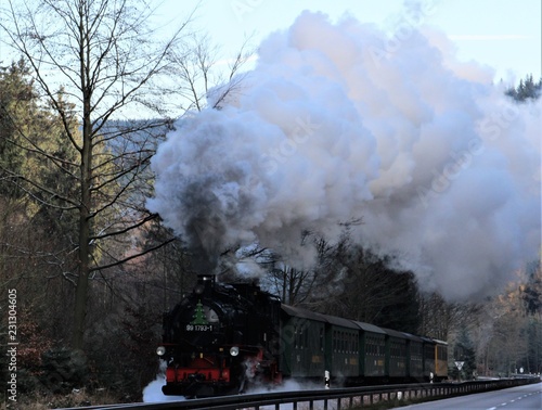 Die Weißeritztalbahn im wunderschönen Osterzgebirge