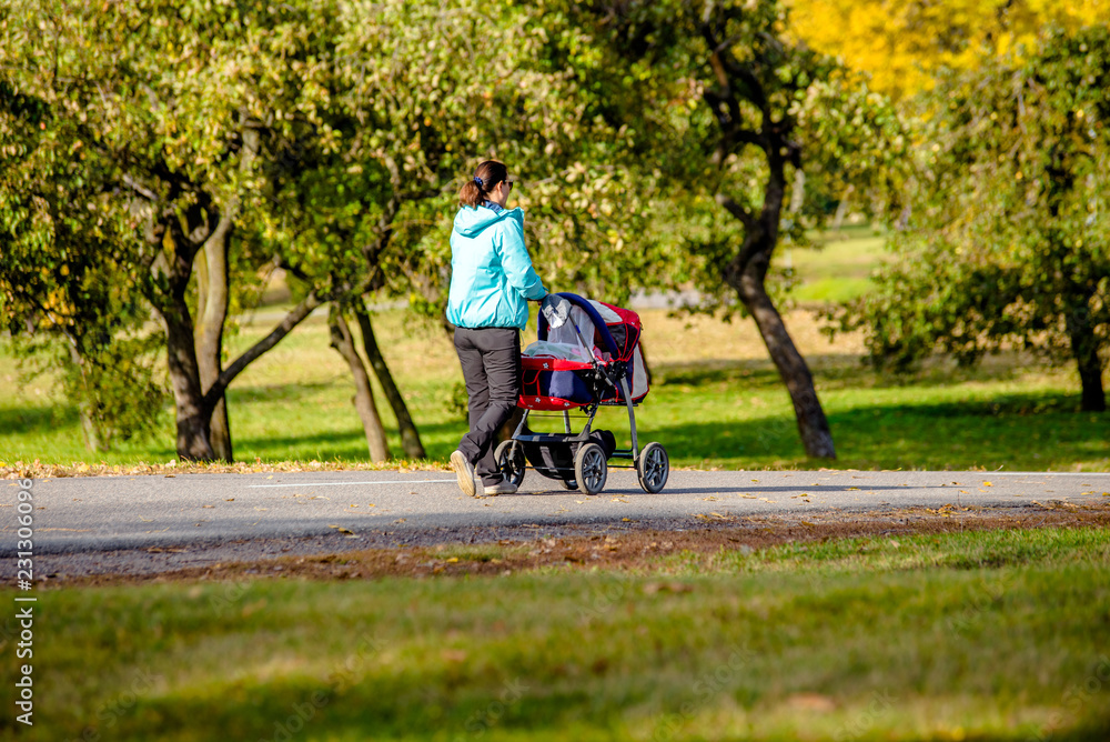 Mother wheeling a pram in the Park Mother wheeling a pram in the Park