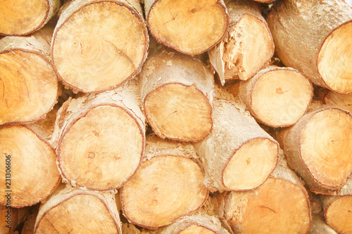 Close up layer of raw logs texture , natural overlap patterns on Background