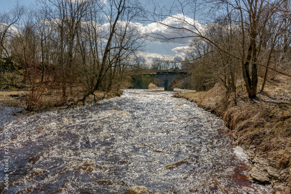 Spring day on the Lava river.