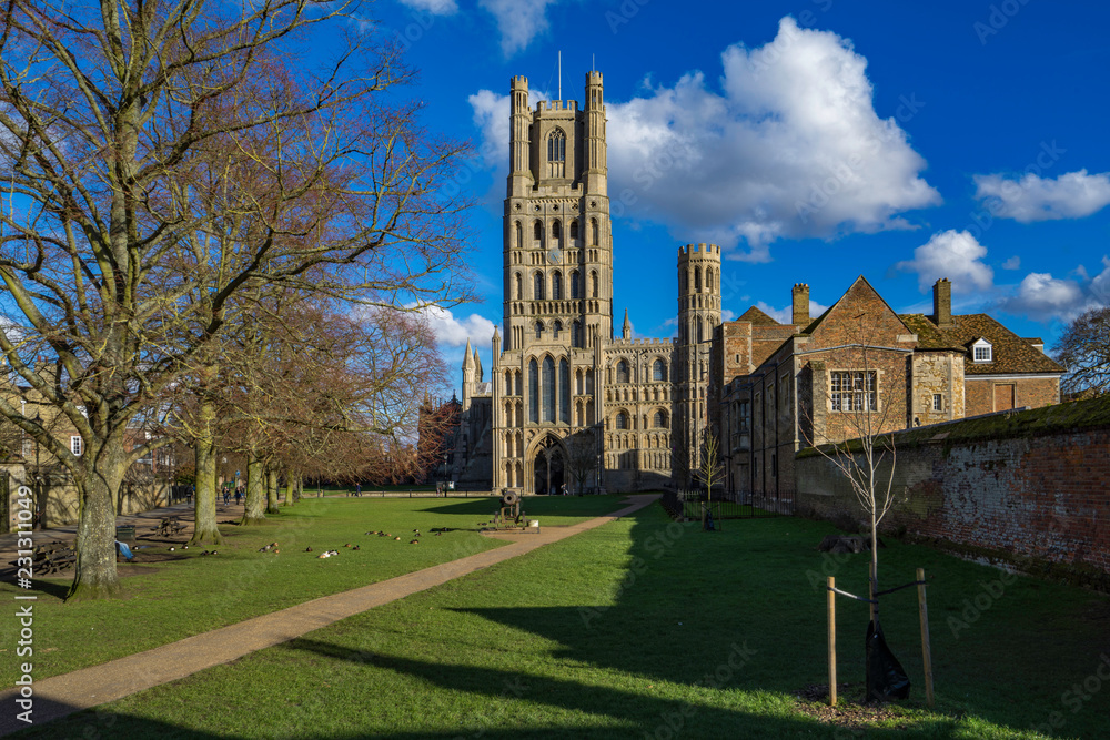Obraz premium Ely Cathedral, from Palace Green